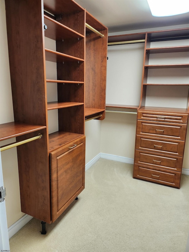 spacious closet with light carpet