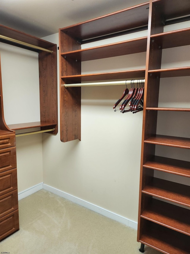 walk in closet with carpet flooring