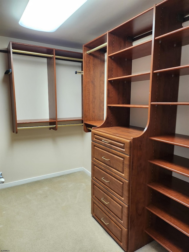 walk in closet featuring carpet floors