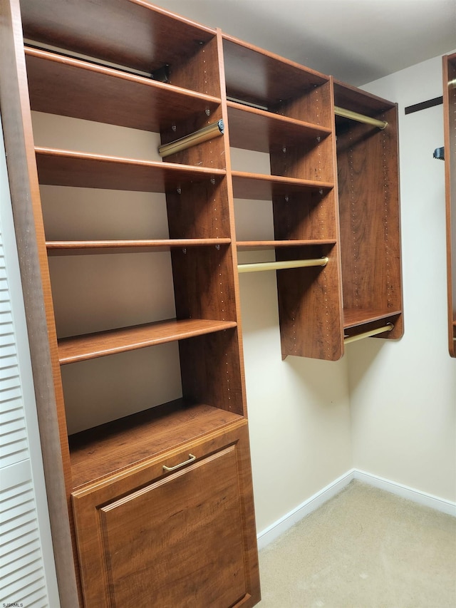 walk in closet with carpet flooring