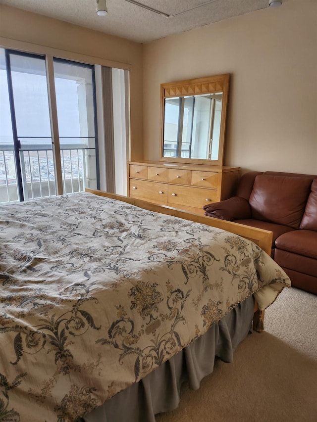 bedroom featuring carpet floors, a textured ceiling, and access to exterior