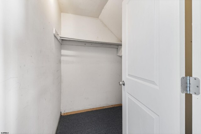 walk in closet with carpet flooring