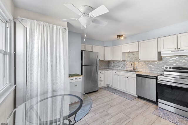 kitchen featuring a sink, tasteful backsplash, appliances with stainless steel finishes, and under cabinet range hood