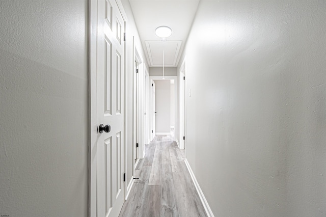 28 W Thompson Ave, Pleasantville, NJ 08232 - hall with baseboards, attic access, and light wood-type flooring
