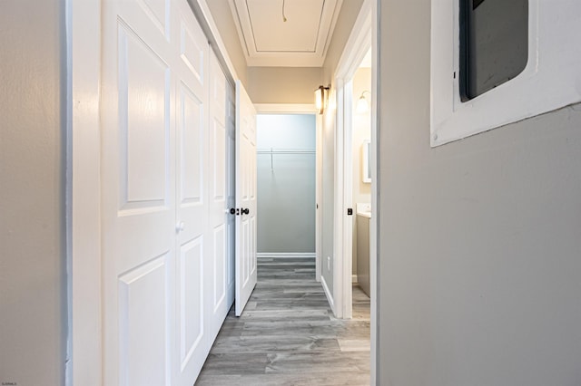 28 W Thompson Ave, Pleasantville, NJ 08232 - corridor featuring attic access and light wood-type flooring