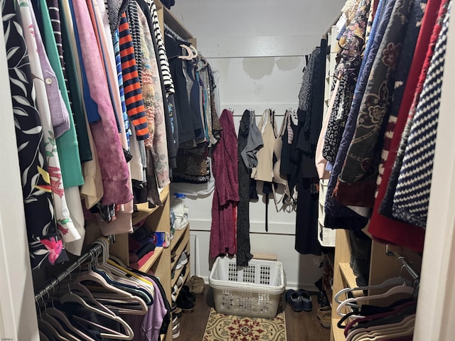 9 Saddle Rdg, Egg Harbor Township, NJ 08234 - spacious closet with wood finished floors