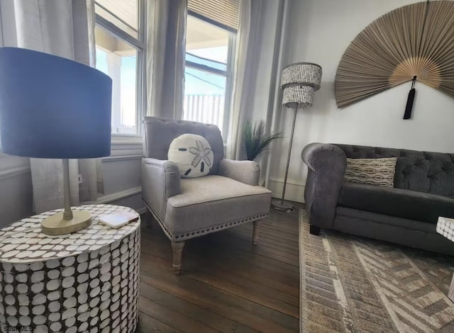 living room with wood-type flooring