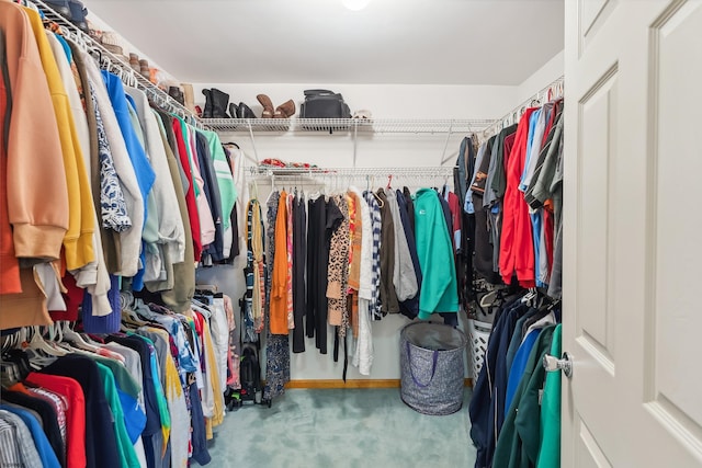 spacious closet featuring carpet flooring