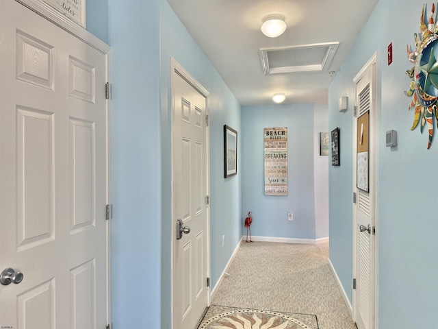 hallway featuring baseboards, carpet flooring, and attic access