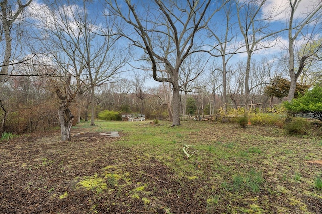 611-615 S New York Rd, Galloway Township, NJ 08205 - view of yard