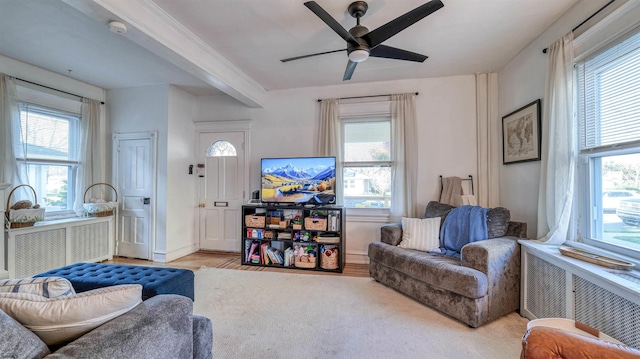 15 Elm Ave, Linwood, NJ 08221 - living room featuring radiator heating unit, a ceiling fan, and a healthy amount of sunlight