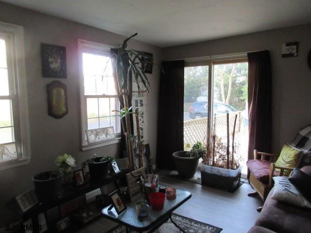 living area with wood finished floors and a wealth of natural light