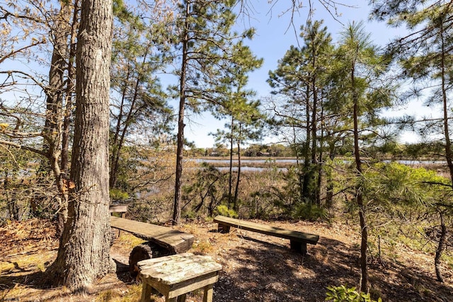 view of yard featuring a water view