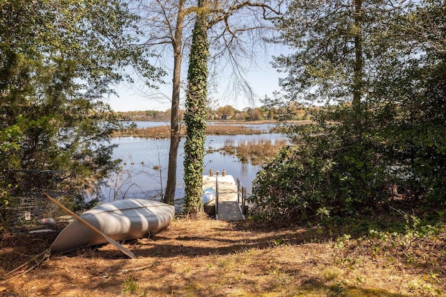 water view featuring a boat dock