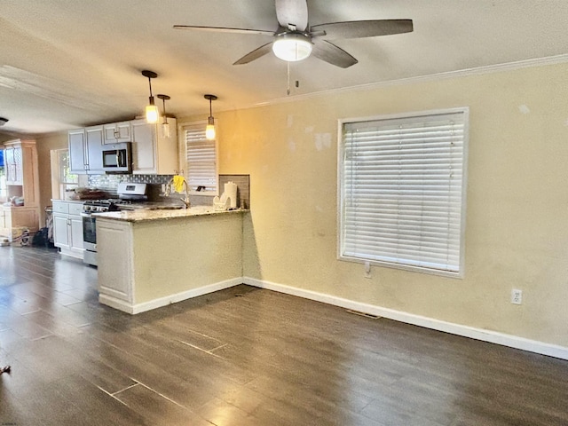kitchen with decorative backsplash, ceiling fan, appliances with stainless steel finishes, and dark wood-style floors