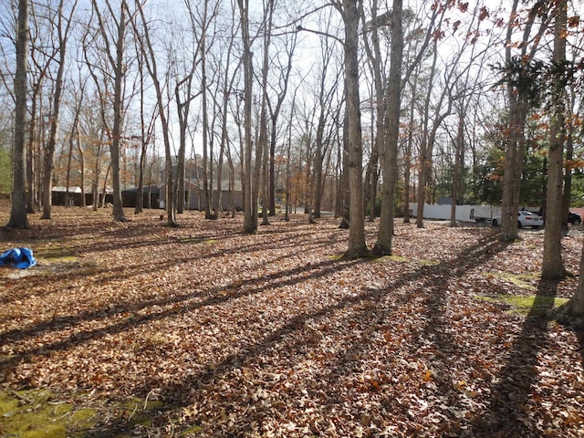 129 Bayberry Ave, Egg Harbor Township, NJ 08234 - view of yard