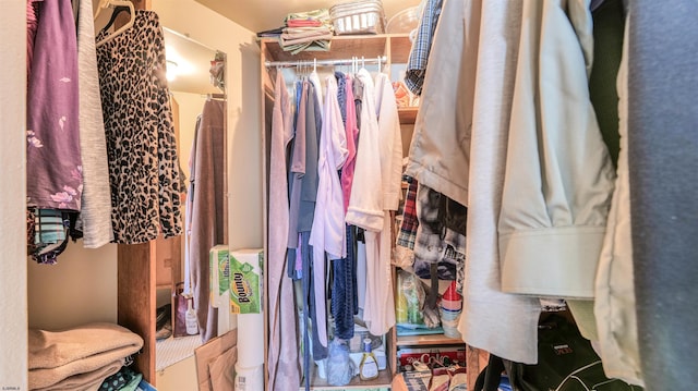 view of walk in closet