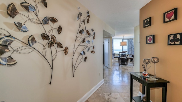 hall featuring baseboards and floor to ceiling windows