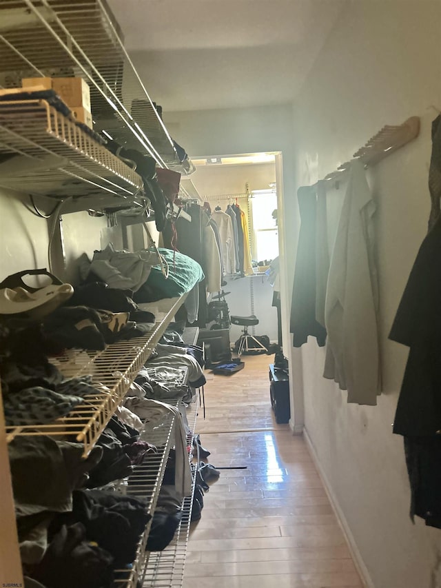 walk in closet with hardwood / wood-style flooring