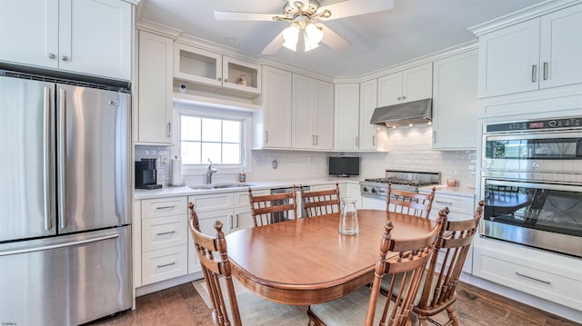 kitchen with ceiling fan, light countertops, under cabinet range hood, a sink, and stainless steel appliances