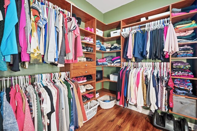 104 Van Sant Ave, Linwood, NJ 08221 - walk in closet with wood finished floors