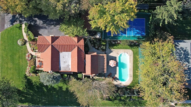 aerial view