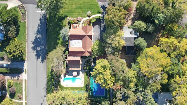 bird's eye view
