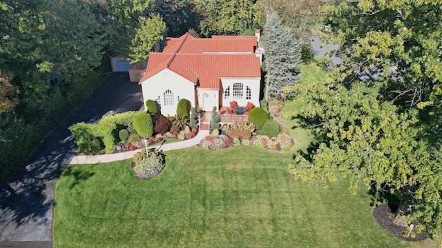 bird's eye view