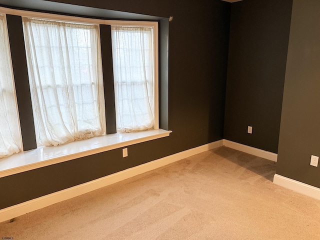 spare room featuring baseboards and carpet flooring