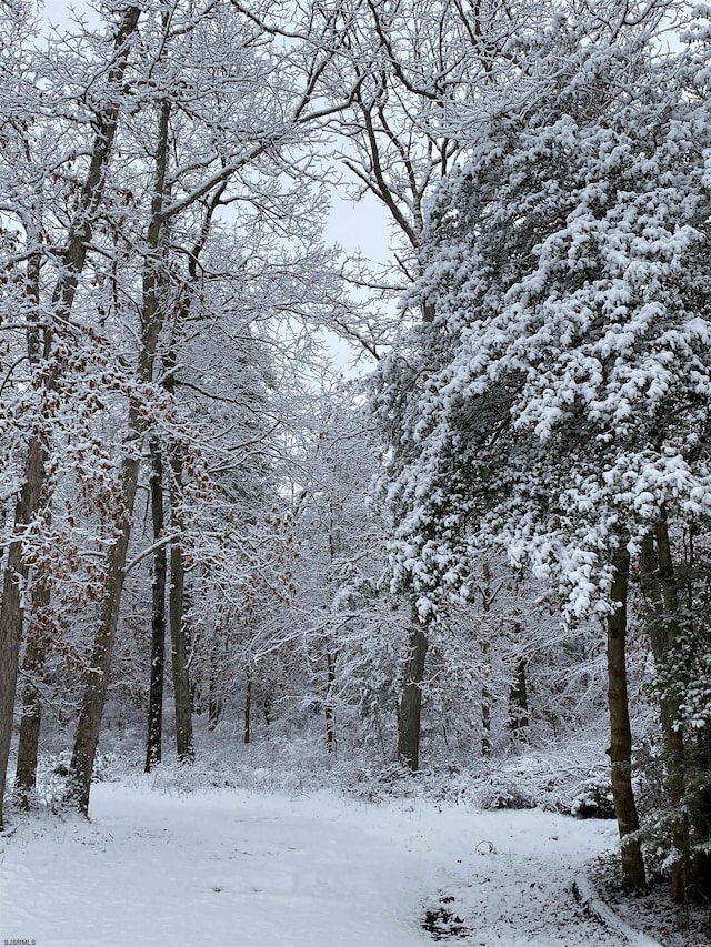 view of snowy view