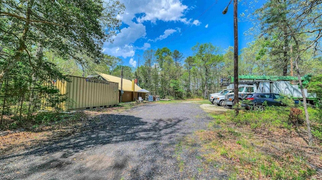 view of dirt / gravel driveway