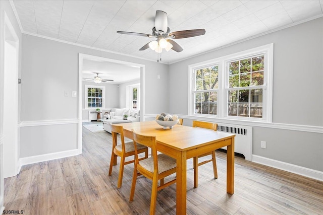 626 1st St, Northfield, NJ 08225 - dining room featuring light wood-style floors, radiator, ceiling fan, and ornamental molding