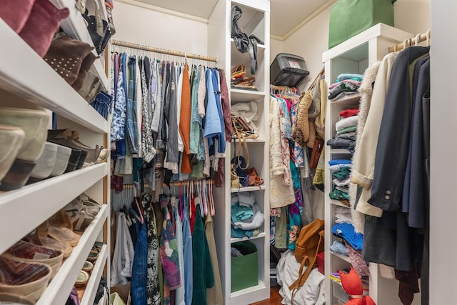 711 Falcon Crest Pl, Smithville, NJ 08205 - view of spacious closet