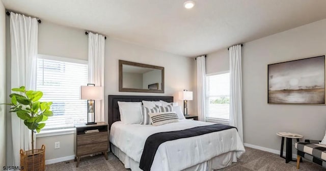 122 Hilton Ct, Egg Harbor Township, NJ 08234 - bedroom featuring carpet floors, multiple windows, and baseboards