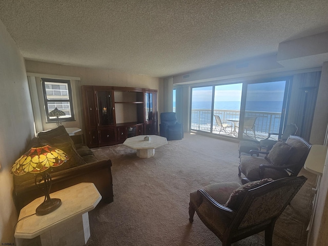 carpeted living area featuring a textured ceiling and plenty of natural light