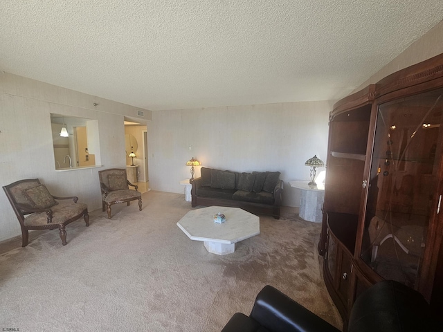 carpeted living area featuring a textured ceiling