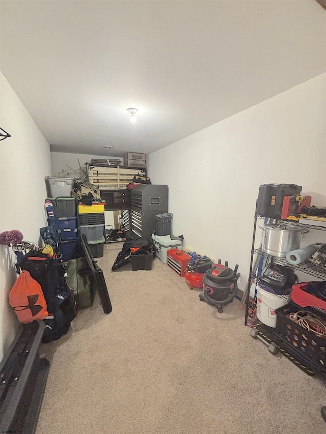 view of storage room