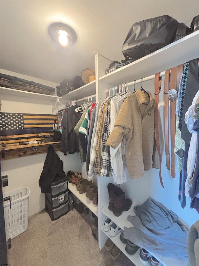 walk in closet featuring carpet floors