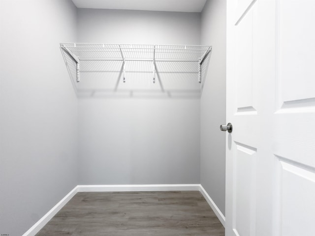 spacious closet featuring wood finished floors