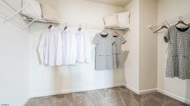 walk in closet with carpet floors