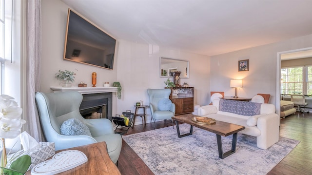 living area with a fireplace and wood finished floors