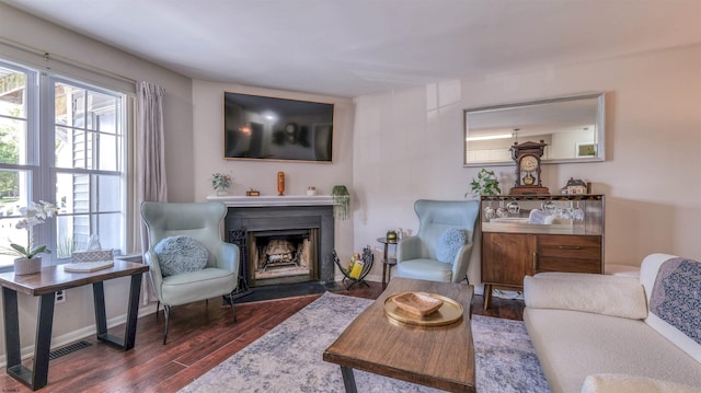 living area featuring wood finished floors and a fireplace with flush hearth