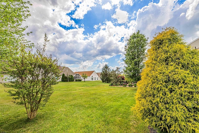 31 Leah Ct, Hammonton, NJ 08037 - view of green lawn