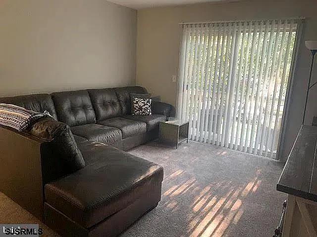 126 Club Pl Unit 126, Galloway Township, NJ 08205 - view of carpeted living room