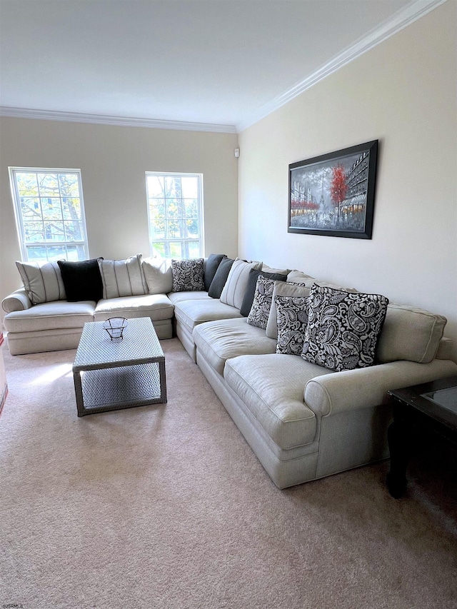 11 Gallant Fox Ln, Egg Harbor Township, NJ 08234 - living area featuring ornamental molding and carpet