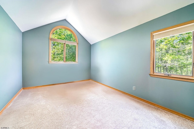 131 S Zurich Ave, Egg Harbor City, NJ 08215 - additional living space with plenty of natural light, vaulted ceiling, carpet, and baseboards
