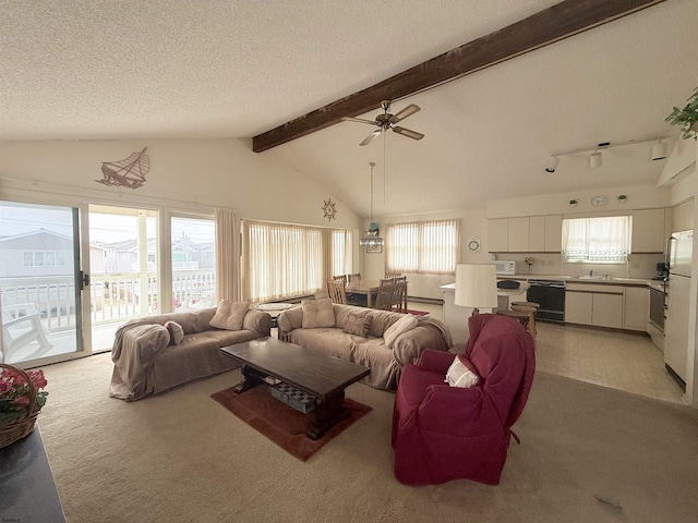4102 W Ave Unit 2, Ocean City, NJ 08226 - living area with light carpet, a ceiling fan, plenty of natural light, and a textured ceiling