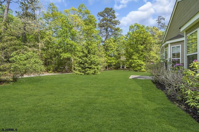 317 Southmoor Dr, Galloway Township, NJ 08205 - view of grassy yard