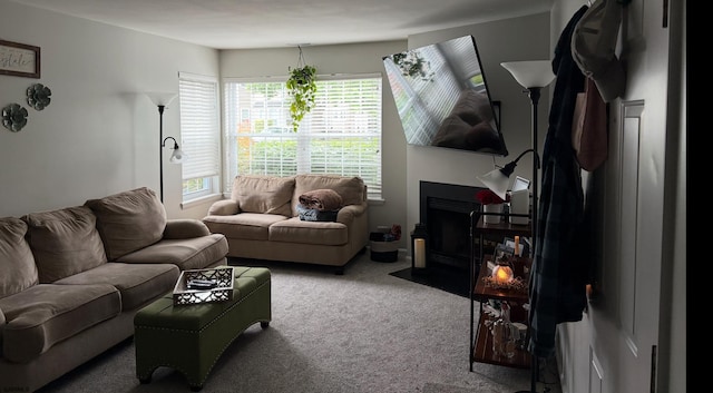 144 Driftwood Ct Unit 144, Smithville, NJ 08205 - living room featuring carpet floors and a fireplace with flush hearth