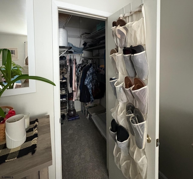 144 Driftwood Ct Unit 144, Smithville, NJ 08205 - walk in closet with carpet floors